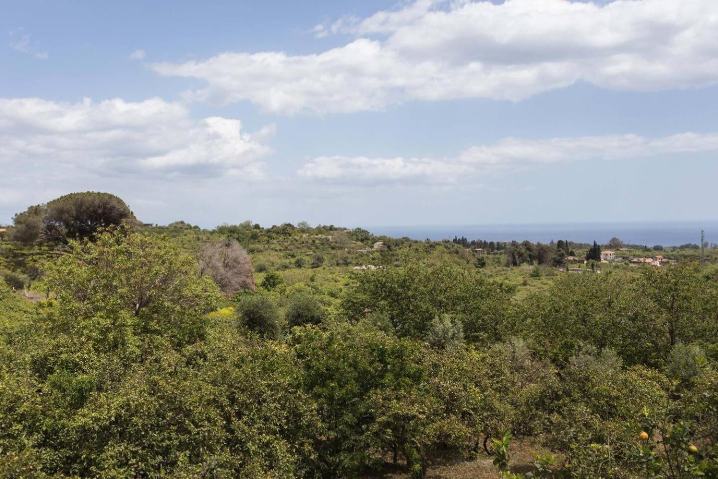 Villa Ginevra Santa Venerina Esterno foto