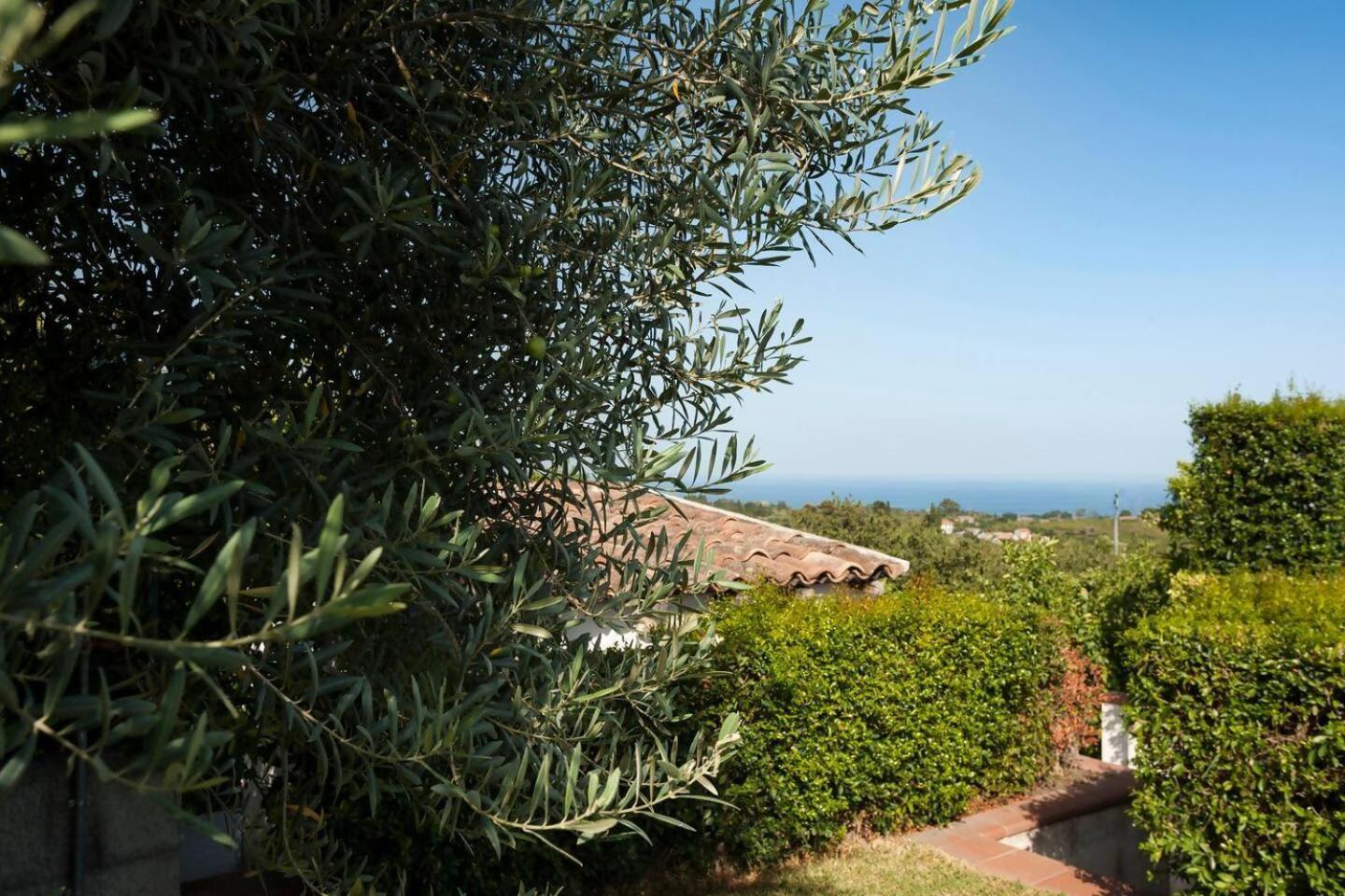 Villa Ginevra Santa Venerina Esterno foto